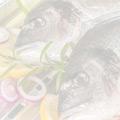 Unser großes Angebot an Frischfisch