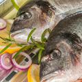 Unser großes Angebot an Frischfisch